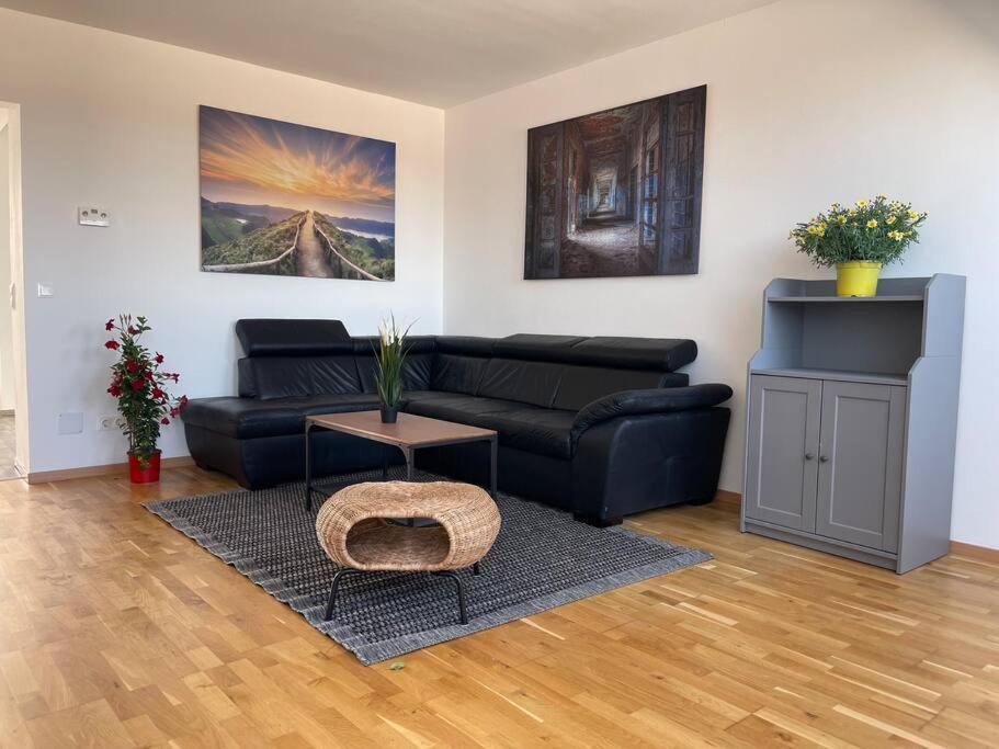Apartamento Dachgeschoss Fuer 4 Mit Terrasse Viena Exterior foto